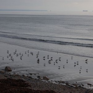 longrock  cycle  path.