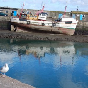 newlyn/Penzance