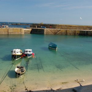 mousehole.