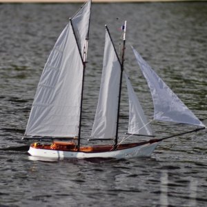 Nice  day  for  a  sail.