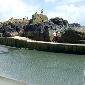 Marazion Marsh - 02Jun10