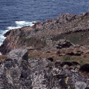 Sunday outing to Gurnard's Head - April, 1977