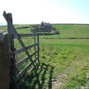 Pastureland near Prussia Cove