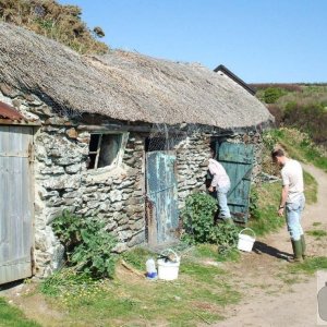 Old fisherman's cottage at Bessy's Cove, Prussia Cove