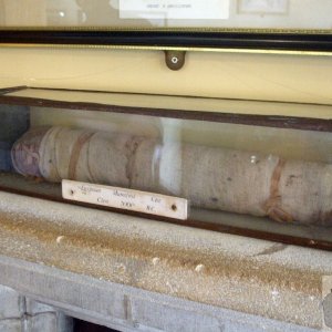 'Miaou' in the The Map Room, St Michael's Mount - 18May10