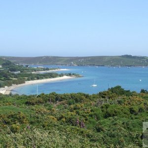 Bryher Patch - 24