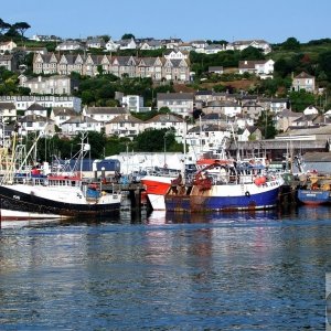 Newlyn, Busy fishing port.