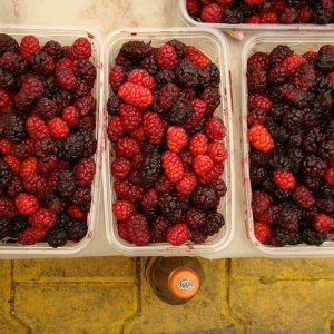 The local Tuesday/Friday fruit and veg market