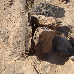 Our Desert trip today.