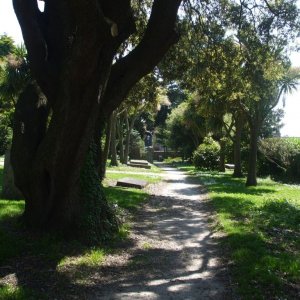 Churchyard view