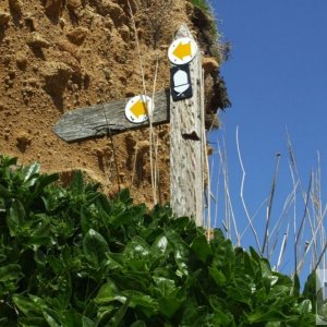 Up the Coastal Path!