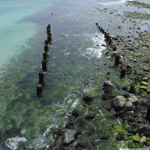 1864 Timber Pier, St Ives
