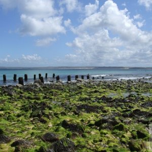 Breakwater, St Ives