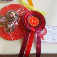 PENZANCE SPRING SHOW - 12MAR2011