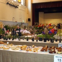 PENZANCE SPRING SHOW - 11-12th MARCH, 2011