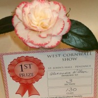 PENZANCE SPRING SHOW - 11-12th MARCH, 2011