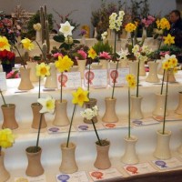 PENZANCE SPRING SHOW - 11-12th MARCH, 2011