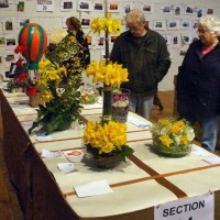 PENZANCE SPRING SHOW - 11-12th MARCH, 2011