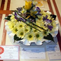 PENZANCE SPRING SHOW - 11-12th MARCH, 2011