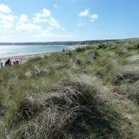 Summery selection: Marazion dunes