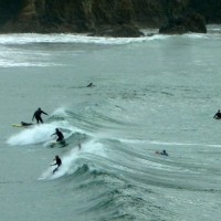 Surfers catch the wave