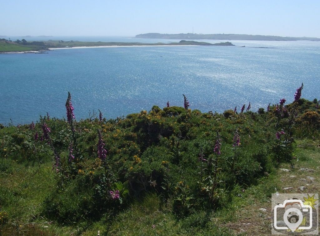 Bryher Patch - 22