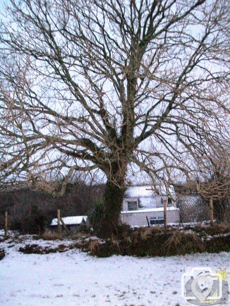 Just as it started to thaw down came another load.