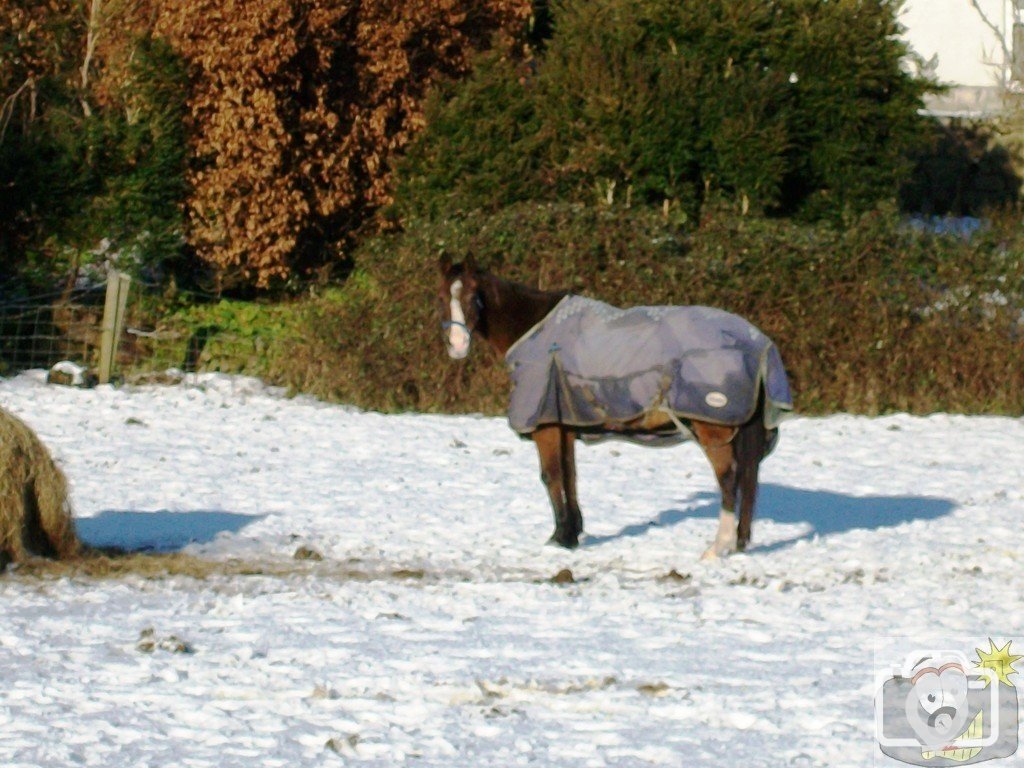 Just as it started to thaw down came another load.