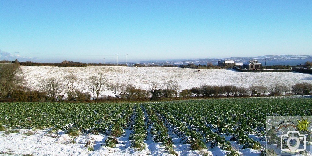 Just as it started to thaw down came another load.