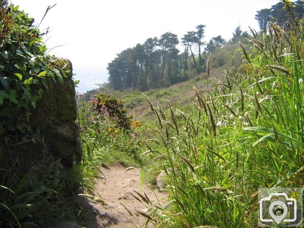 Lamorna walk