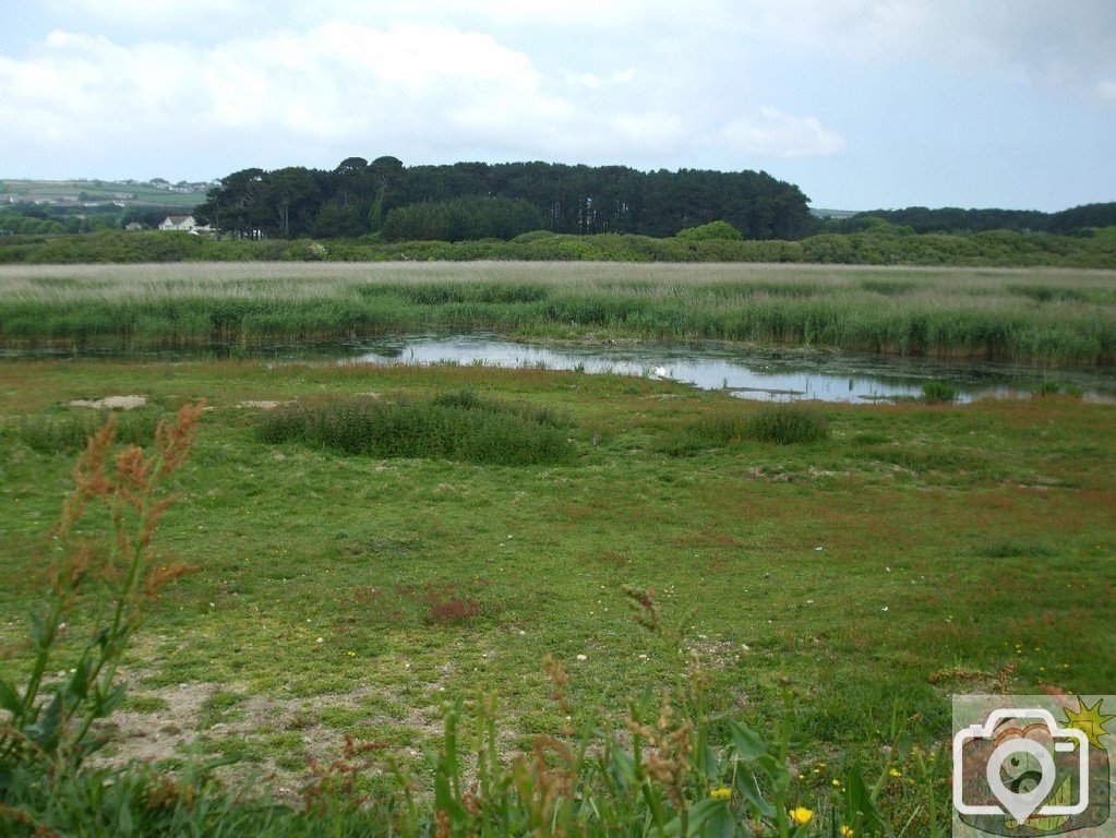 Marazion Marsh - 02Jun10