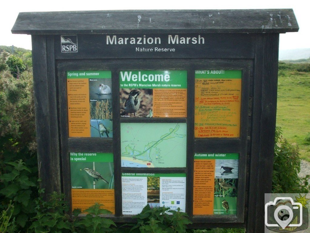 Marazion Marsh - 02Jun10