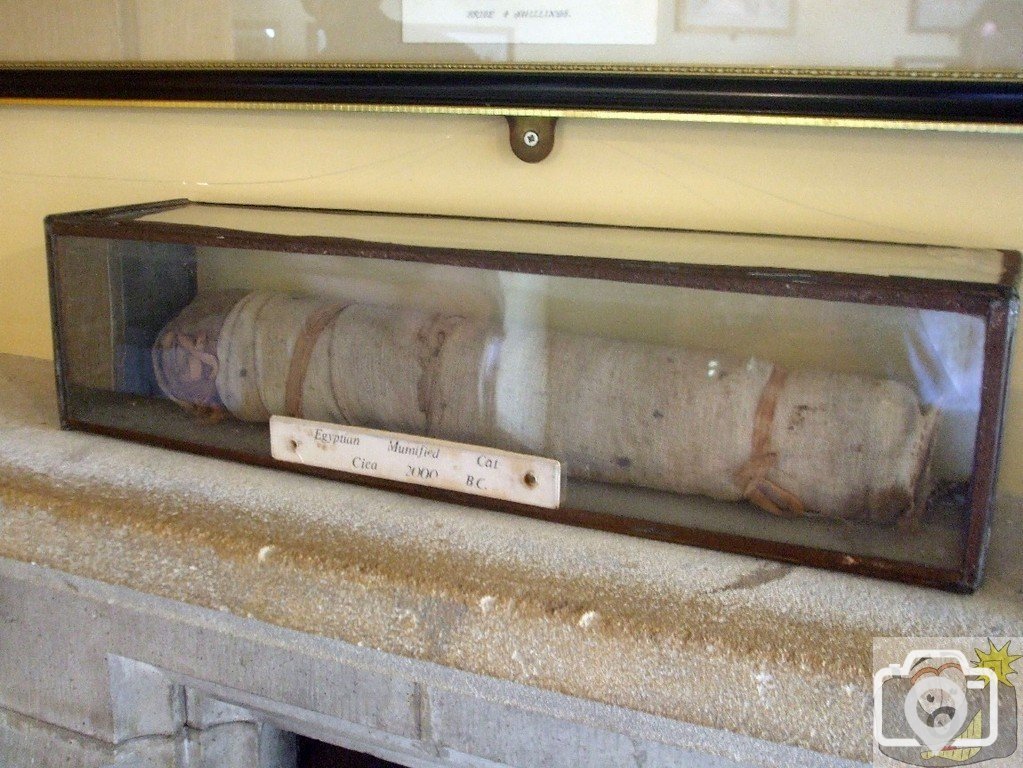 'Miaou' in the The Map Room, St Michael's Mount - 18May10