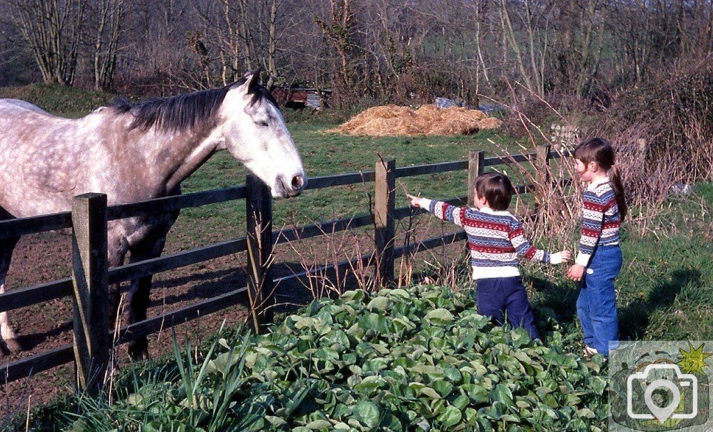 My elder two and Dobbin - May, 1984.