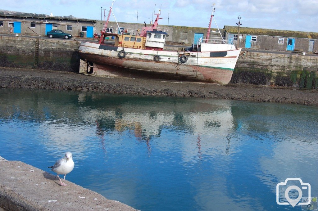 newlyn/Penzance