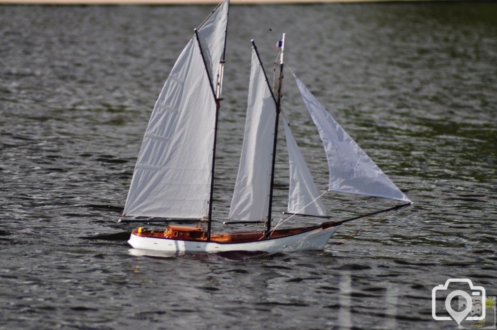 Nice  day  for  a  sail.