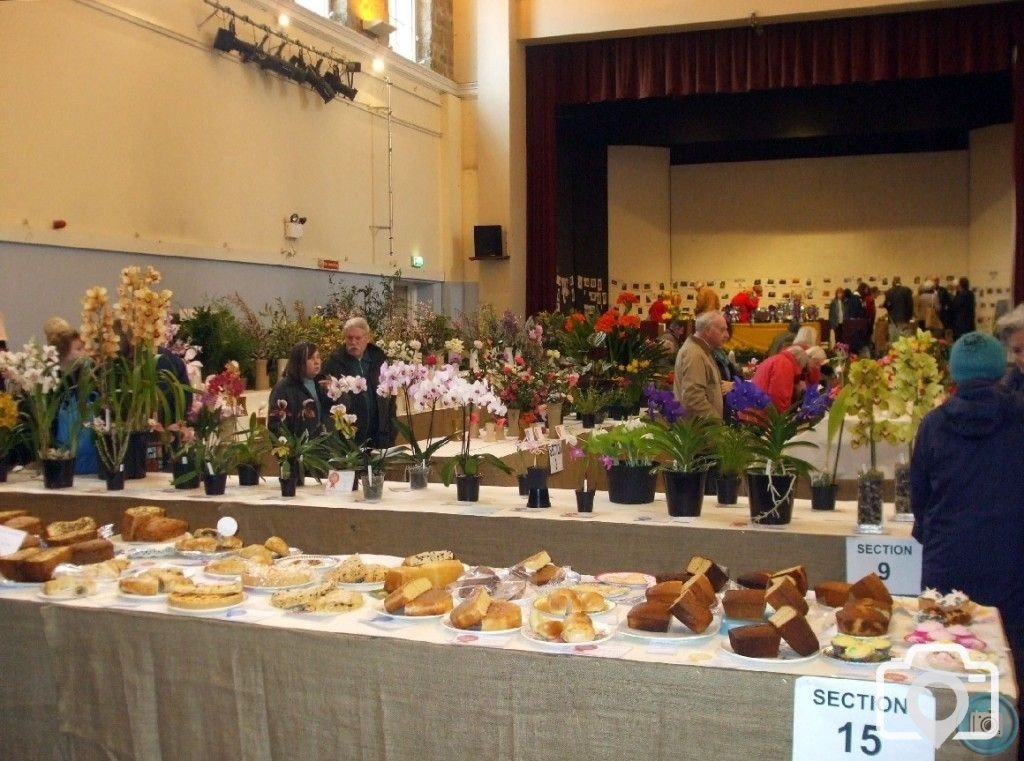 PENZANCE SPRING SHOW - 11-12th MARCH, 2011