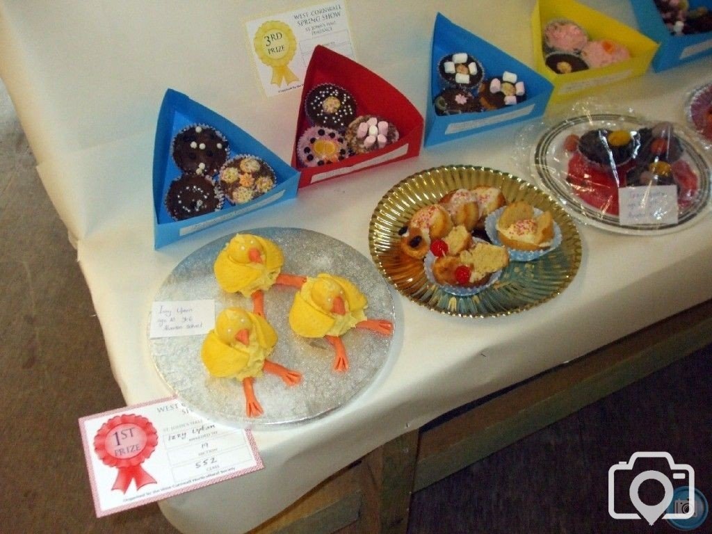 PENZANCE SPRING SHOW - 11-12th MARCH, 2011