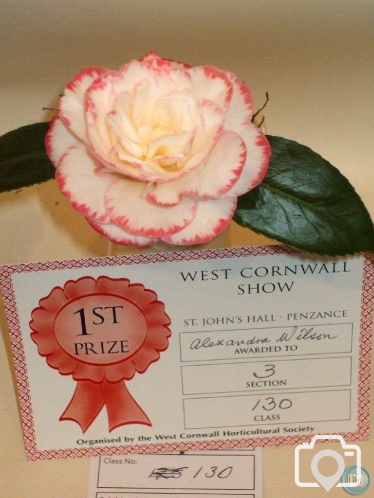 PENZANCE SPRING SHOW - 11-12th MARCH, 2011