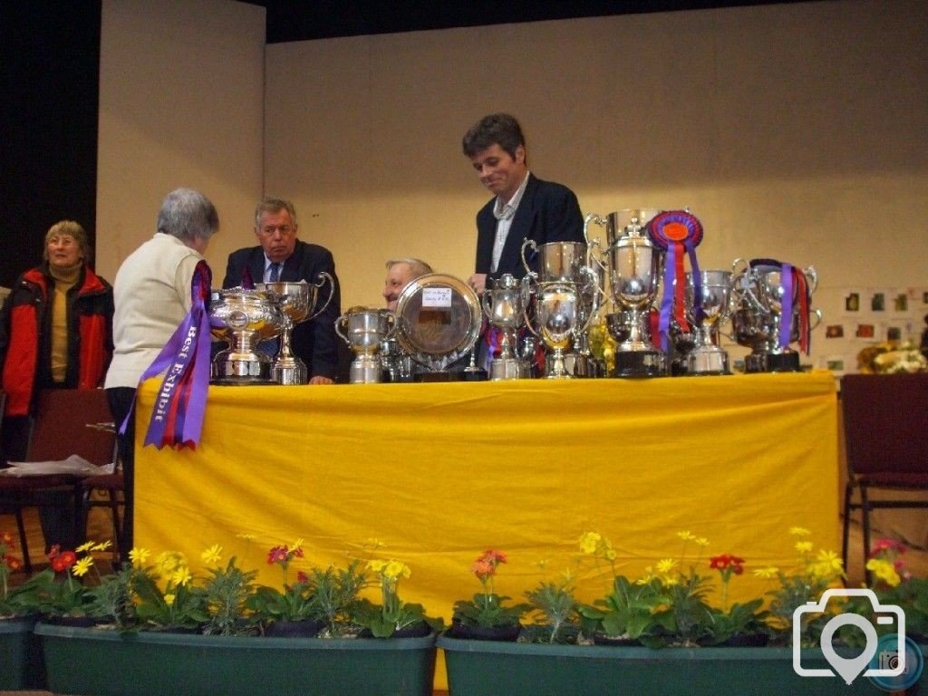 PENZANCE SPRING SHOW - 11-12th MARCH, 2011