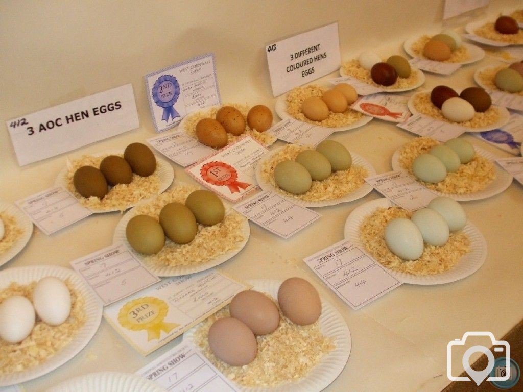 PENZANCE SPRING SHOW - 11-12th MARCH, 2011