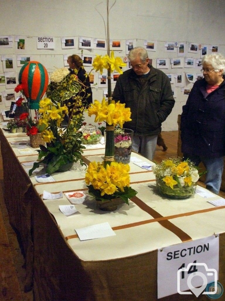 PENZANCE SPRING SHOW - 11-12th MARCH, 2011