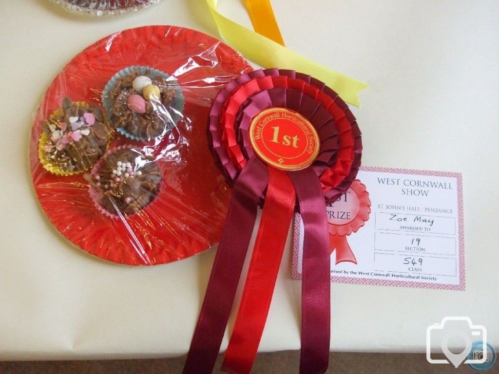 PENZANCE SPRING SHOW - 12MAR2011