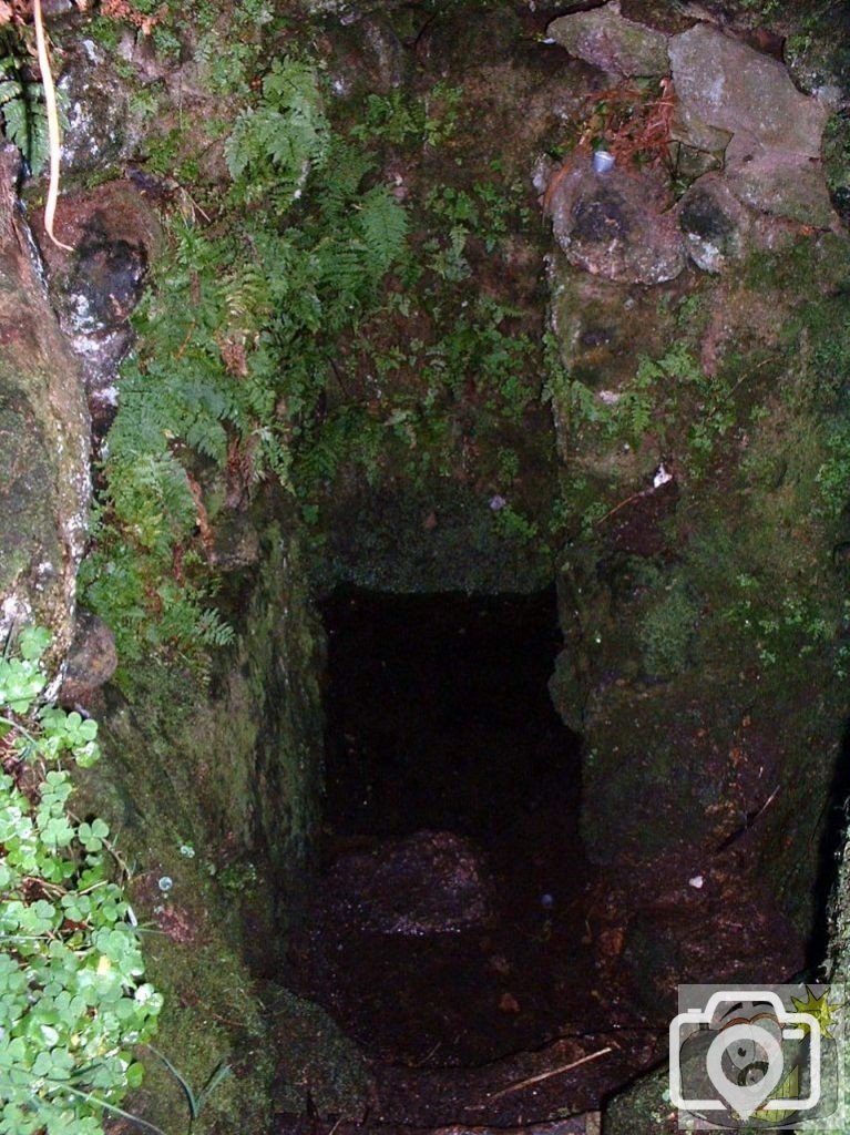 Sancreed Wishing Well reached by a few steps