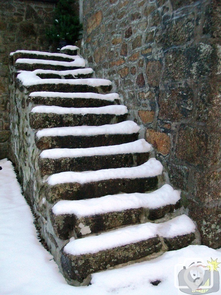 Snow January 2010