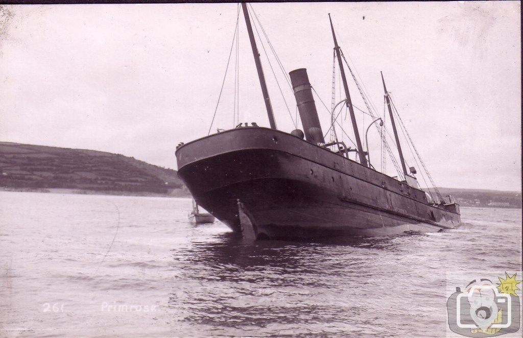 SS Primrose