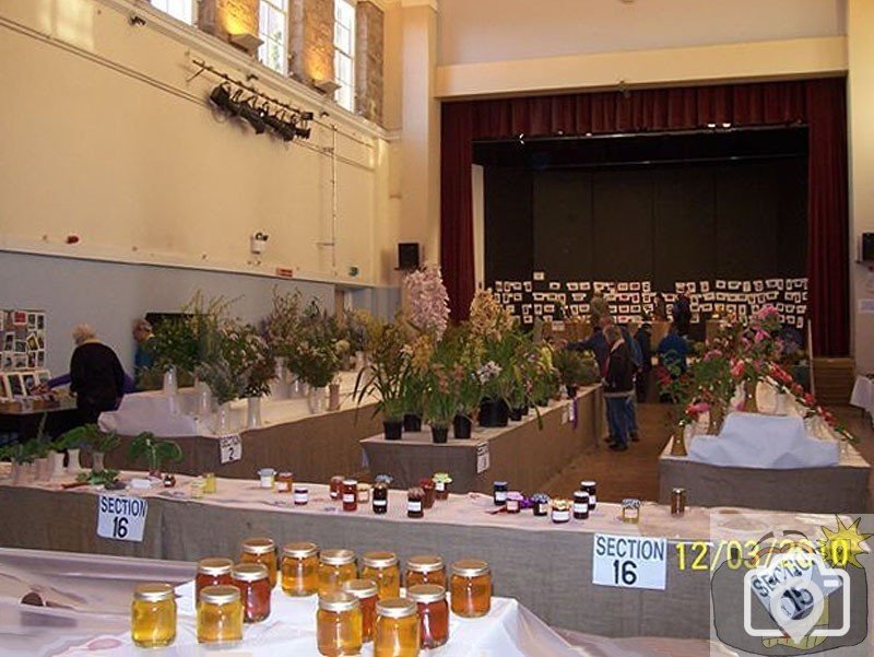 St John's Hall: Penzance Spring Show today - 12Mar10