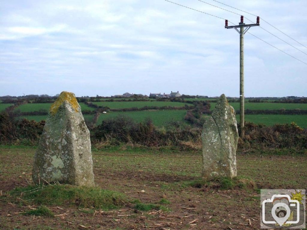 Standing stones in a field at Drift/Catchall