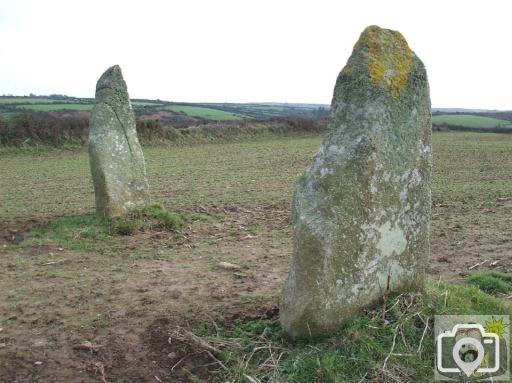 Standing stones in a field at Drift/Catchall