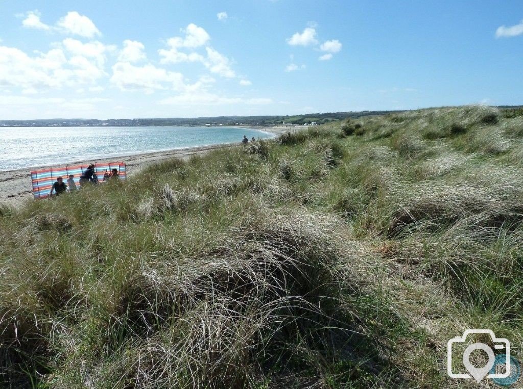 Summery selection: Marazion dunes